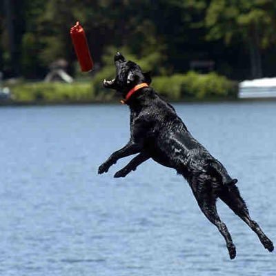 Profile Picture of Stephen Barb (@stephenbarb82) on Twitter