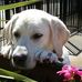 Profile Picture of Ginger Campbell (@ginger.campbell.121) on Facebook
