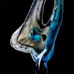 Profile Picture of David Haley and Tony Guerra (@prolabesthetics) on Instagram
