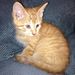 Profile Picture of David Bensinger (@davidjbensinger) on Pinterest