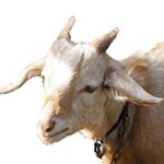 Profile Picture of DM'S Open.Hire A Hacker 4 Free (@anonymous_kgoat) on Instagram