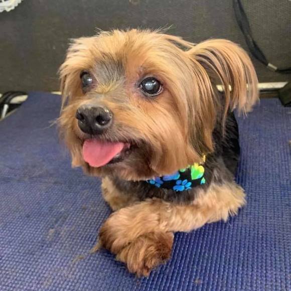 Profile Picture of Candy Agosta (@candyagosta) on Poshmark