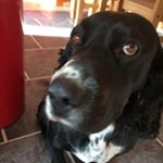 Profile Picture of Craig Esplin (@craigyboy58) on Instagram