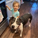 Profile Picture of Stephen Anthony Heacock (@moltar1981) on Instagram