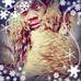 Profile Picture of Pharroah Foxx (@alonzo.dunlap.79) on Facebook