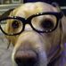 Profile Picture of Steven Carey (@steven.carey.104) on Facebook