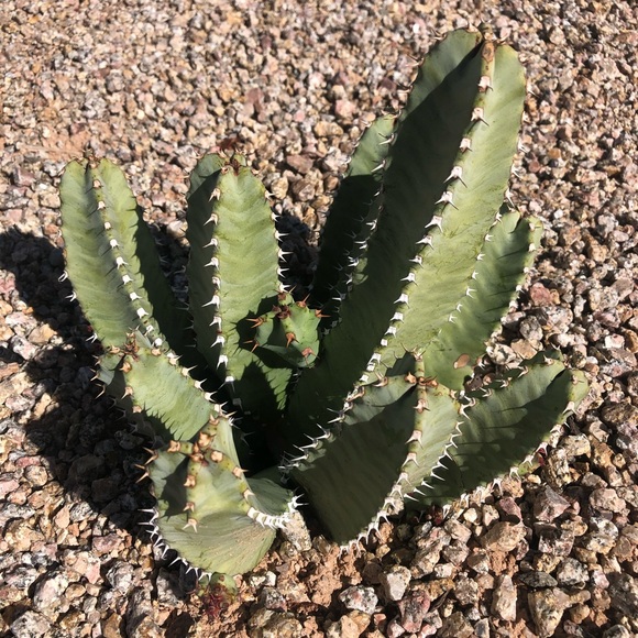 Profile Picture of Parker Holthaus (@parkyy) on Poshmark