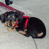 Profile Picture of Jacob Schrum (@jacob-schrum-1) on Quora