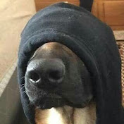 Profile Picture of Bryan Reilly (@bryanreilly2165) on Youtube