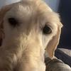 Profile Picture of Colin (@colinmadden1) on Tiktok