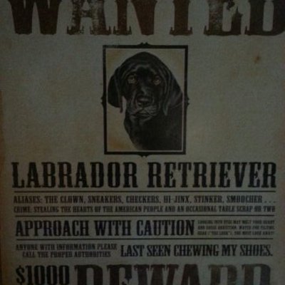 Profile Picture of Dennis VanWinkle (@DVanWinkle2) on Twitter