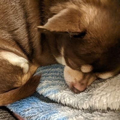 Profile Picture of ClaudineLefort (@fturncyqaf7) on Tiktok