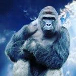 Profile Picture of Brian Tullos (@oldgregg990) on Instagram