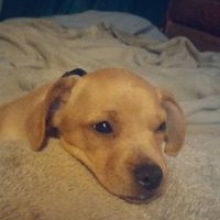 Profile Picture of Thomas D Blatz (@thomas-d-blatz) on Quora