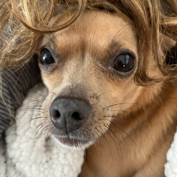 Profile Picture of Skyla Brylski (@cl0udy___) on Poshmark