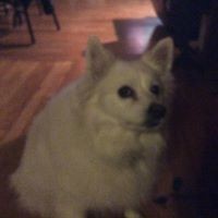 Profile Picture of Colin Arthur (@colin-arthur-7) on Quora