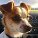Profile Picture of Liam Corrigan (@corrigan2315) on Pinterest