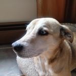 Profile Picture of Cheryl Byron Zduniak (@yesitscz) on Instagram