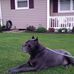 Profile Picture of David Lamanna (@david.lamanna.73) on Facebook