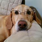 Profile Picture of Cindy (@catlinsnow) on Instagram