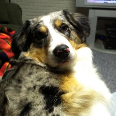 Profile Picture of Jared Rasmussen (@JaredRazzy) on Twitter