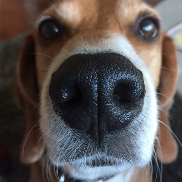 Profile Picture of Alice Kuo (@akuoa28) on Poshmark