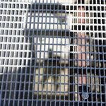 Profile Picture of Paul Chisholm (@paul.chiz) on Instagram