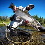 Profile Picture of Chris Bard (@bardcore86) on Instagram