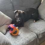 Profile Picture of Richard Topping (@richard.topping.77) on Instagram