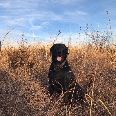 Profile Picture of Harrison Meyer (@meyer_harrison) on Twitter