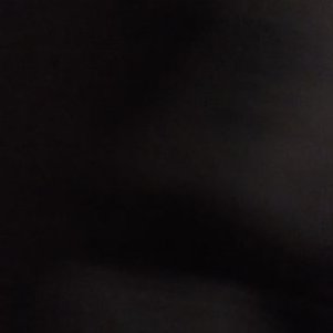 Profile Picture of Monika Tobias (@tobias_monika) on Twitter