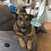 Profile Picture of Mike Wellman (@mike.wellman.754) on Facebook