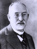 Profile Picture of Aron Freimannon Wikipedia