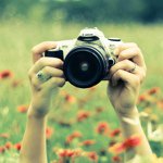 Profile Picture of Amy (@beesaremellow) on Instagram