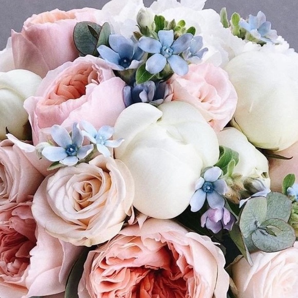 Profile Picture of Josie Turrubiates (@jo_anne307) on Poshmark