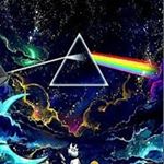 Profile Picture of Adam Reef (@adam_reef) on Instagram