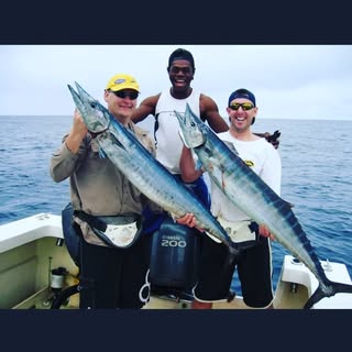 Profile Picture of Paul Rollason (@paulrollo) on Instagram