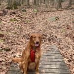 Profile Picture of AJ Hayes (@aj_hayes3) on Instagram