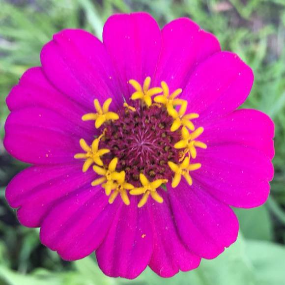 Angela Dannison - Poshmark Profile Picture of Angela Dannison (@dannisonkids) on Poshmark