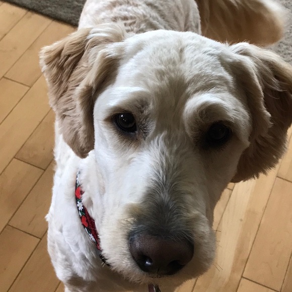 Profile Picture of Joanne Eriksen (@bestemory) on Poshmark