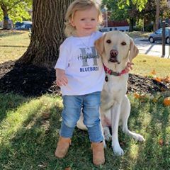 Andrew Roller - Tiktok Profile Picture of Andrew Roller (@andrewroller0) on Tiktok