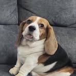 Profile Picture of Fern Hayes (@fern.hayes.2024) on Facebook