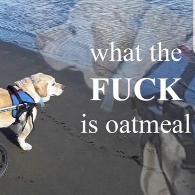 Profile Picture of David Grinberg (@DavidGrinberg9) on Twitter