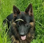 Geraldine Appleton - Facebook Profile Picture of Geraldine Appleton (@Geraldine-Appleton) on Facebook