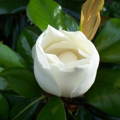 John Foutch - Twitter Profile Picture of John Foutch (@foutchjohn) on Twitter