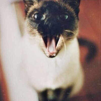 Profile Picture of Юлька Кузьмина (@julia__jelly) on Twitter