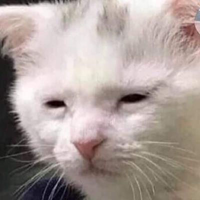 Profile Picture of Toné (@DanielTone01) on Twitter