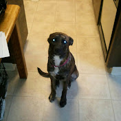 Profile Picture of L White (@lwhite916) on Youtube