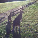 Profile Picture of Dustin Scott (@dustinscott2014) on Instagram