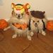 Profile Picture of Carolyn Irby (@cjirby1234) on Pinterest